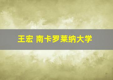 王宏 南卡罗莱纳大学